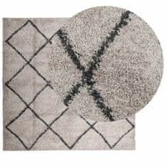 Petromila vidaXL Shaggy koberec PAMPLONA, vysoký vlas, béžová+antracit 200x200cm