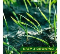 Netscroll Inovatívny 3 v 1 papier, krycia tkanina s hnojivom na výsev semien, ideálny rast vašej trávy, plachta chráni pred vtákmi, semená zostávajú na svojom mieste, vhodné pre záhradkárov 300x20 cm,PlantPaper