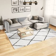 Petromila vidaXL Chlpatý koberec vysoký vlas moderný krémovo-čierny 200x280 cm