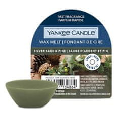 Yankee Candle Vonný vosk , Strieborná šalvia a borovica, 22 g