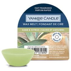 Yankee Candle Vonný vosk , Šalvia a citrus, 22 g
