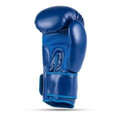 DBX BUSHIDO boxerské rukavice ARB-407-Blue 12 oz
