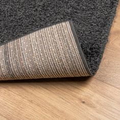 Petromila vidaXL Chlpatý koberec s vysokým vlasom moderný antracitový 200x280 cm