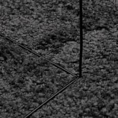 Petromila vidaXL Shaggy koberec PAMPLONA, vysoký vlas moderný antracit 160x230cm
