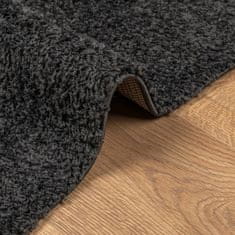 Petromila vidaXL Chlpatý koberec s vysokým vlasom moderný antracitový 300x400 cm