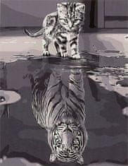 KIK  Maľovanie podľa čísel 50 x 40 cm - Mačka a tiger