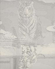 KIK  Maľovanie podľa čísel 50 x 40 cm - Mačka a tiger