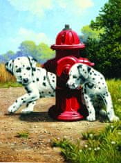 SMT Creatoys Malování podle čísel Dalmatini u červeného hydrantu