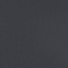 Vidaxl Zaťahovacia bočná markíza, čierna 140x600 cm