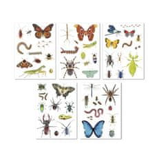 Apli Samolepka "Stickers", hmyz, odstrániteľné, 50 ks, 19429