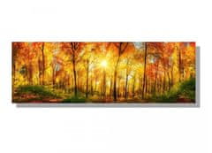 Dimex Dimex, obrazy na plátne - Slnečný les 150 x 50 cm