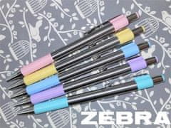 Zebra Guľôčkové pero "F 301", modrá, 0,24 mm, modré telo z nerezovej ocele, 90702