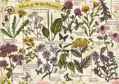 Trefl Puzzle Herbarium: Liečivé byliny 500 dielikov