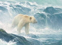 Cobble Hill Ľadový medveď na love lososov - XXL PUZZLE