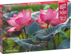Cherry Pazzi Puzzle Ružové kvety lotusu 500 dielikov
