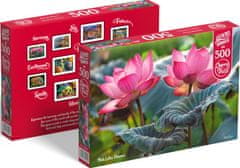Cherry Pazzi Puzzle Ružové kvety lotusu 500 dielikov