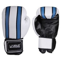 Boxing gloves zápasové boxovacie rukavice biela-modrá hmotnosť 12 oz