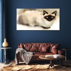 COLORAY.SK Skleneny obraz Abstraktné zvieracie mačka 120x60 cm