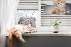 COLORAY.SK Roleta Červená mačka Žaluzija za propuščanje svetlobe 120x240 cm