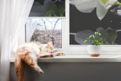 COLORAY.SK Roleta na okno Orchidey Žaluzija za propuščanje svetlobe 110x180 cm