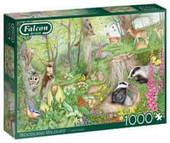 Falcon Puzzle Život v lese 1000 dielikov