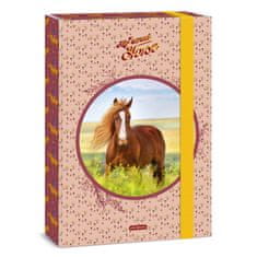 Ars Una Školský box A4 My Sweet Horse ARS UNA