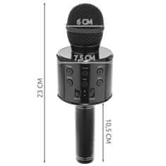 Izoxis 22189 Karaoke mikrofón - čierny