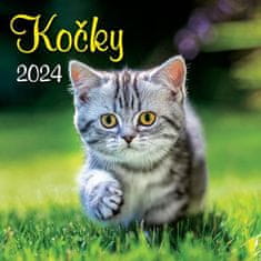 Kalendár 2024 Mačky, nástenný
