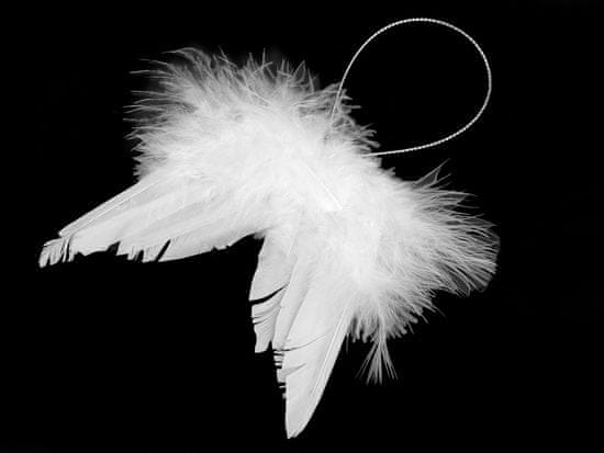 Dekorácie anjelské krídla malá - biela
