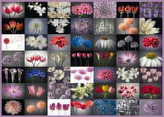 Schmidt Puzzle Kvetinový pozdrav 2000 dielikov
