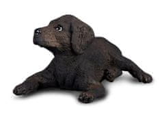 COLLECTA Labradorský retriever šteňa - model zvieratka