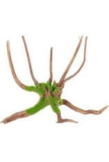 Zolux Akvarijné dekorácie Kipouss Pavúčí koreň M