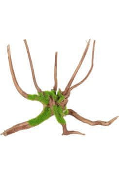 Zolux Akvarijné dekorácie Kipouss Pavúčí koreň M