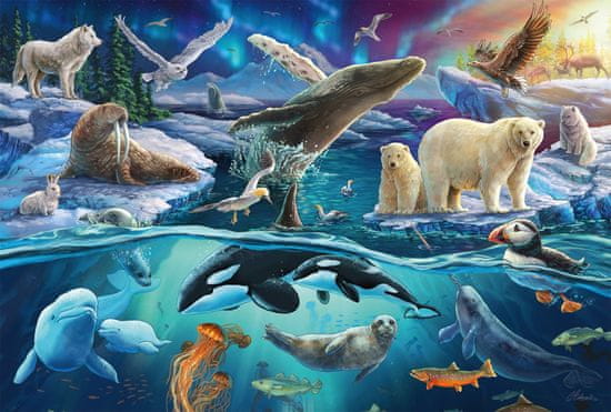 Schmidt Puzzle Arktické zvieratá 150 dielikov