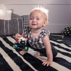 Baby Einstein OBALL Autíčko a hrkálka 2v1 Curious Car zebra Zen 3m+