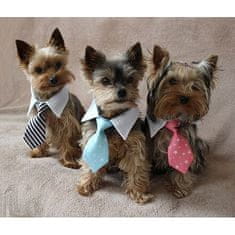 Gentledog kravata pre psov žltá veľkosť oblečenia S