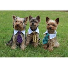 Gentledog kravata pre psov fialová veľkosť oblečenia S