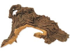Dekorácie Hobby Dohse koreň Tropical wood S