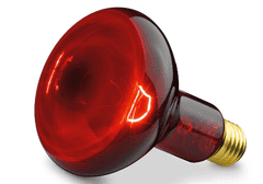 BEURER BEU-INFRA100W žiarovka pre infračervenú lampu