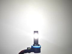 motoLEDy H11 LED žiarovky 12V CANBUS CSP 2 ks - Čisté biele svetlo, 2x silnejšie ako sklo, homologizácia