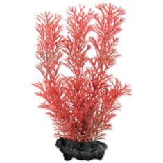 Tetra Dekorácia Rastlina Foxtail Red S 15cm