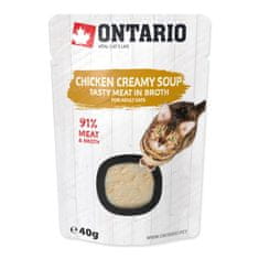 Ontario Polievka kura so syrom 40g