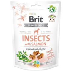 Brit Pochúťka Care Dog Crunchy Cracker Insects, losos s tymianom 200g