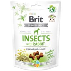Brit Pochúťka Care Dog Crunchy Cracker Insects, králik s feniklom 200g