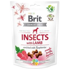 Brit Pochúťka Care Dog Crunchy Cracker Insects, jahňa a maliny 200g