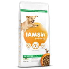 IAMS Krmivo Dog Adult Large Lamb 12kg