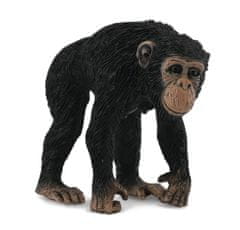 COLLECTA Šimpanz - samica