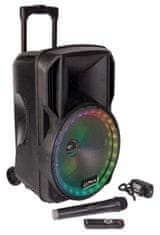 PARTY Light & Sound PARTY15RGB PARTY Light&amp;Sound prenosný reproduktor + mikrofón