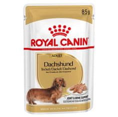 Royal Canin Dachshund, 12x85g