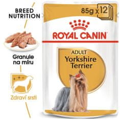 Royal Canin Yorkshire, 12x85g